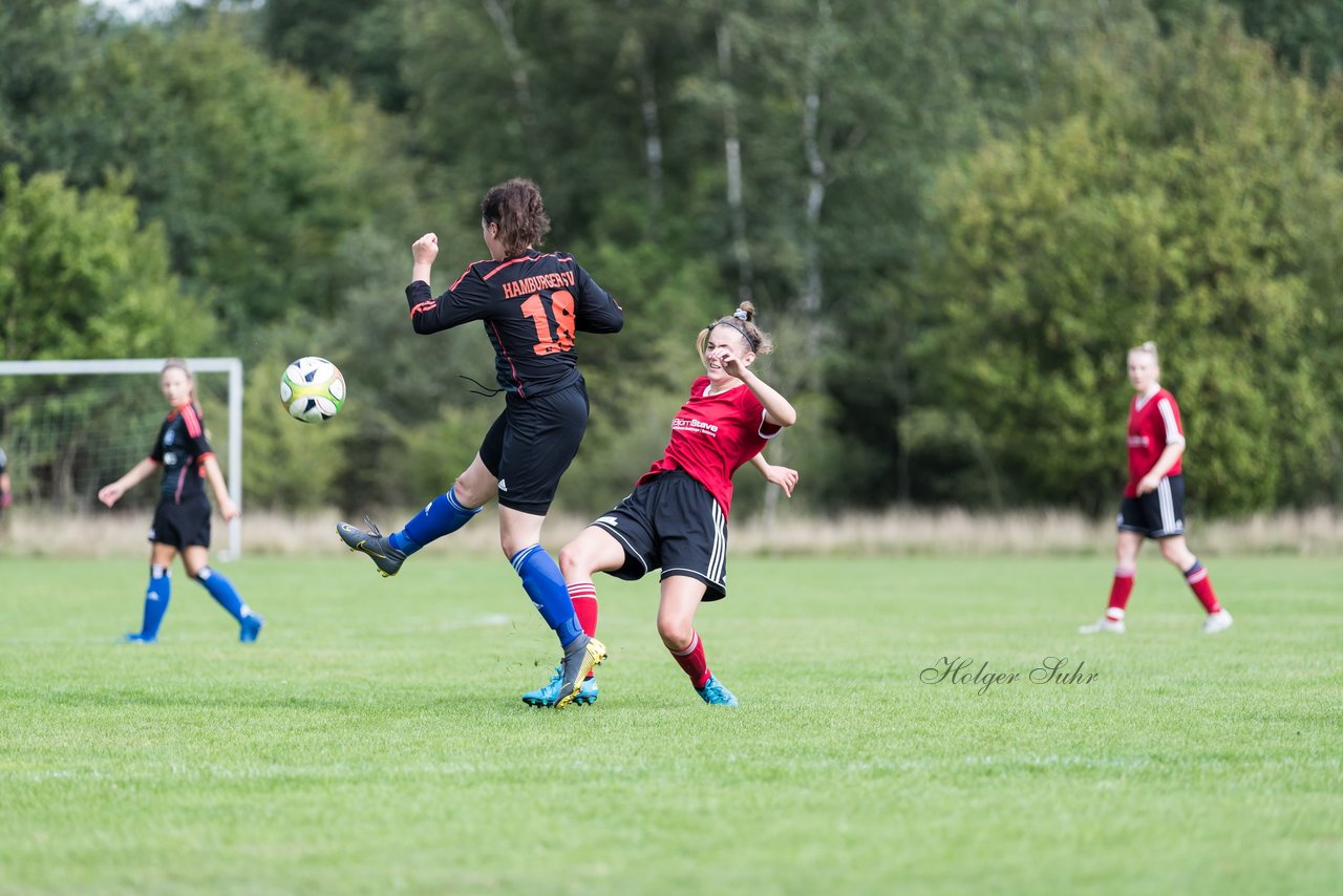 Bild 299 - Frauen SG NieBar - HSV 2 : Ergebnis: 4:3